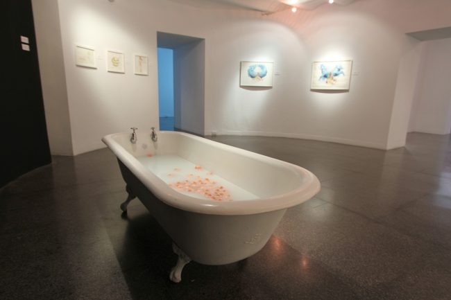 Los Libros de la Sangre y de la Leche