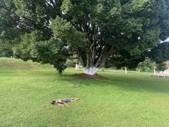 muriendo_en_lugares_importantes_pweb