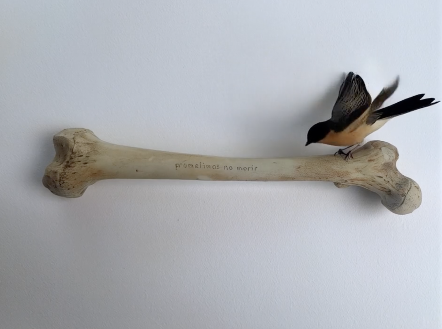 Screenshot 2025-09-28 at 19.16.21