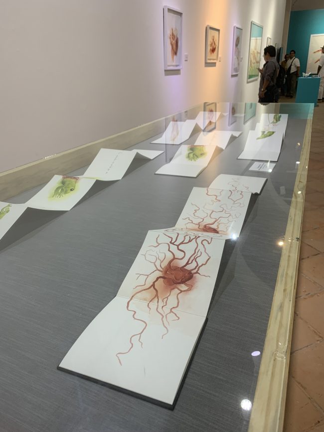 Prometimos No Morir Veracruz